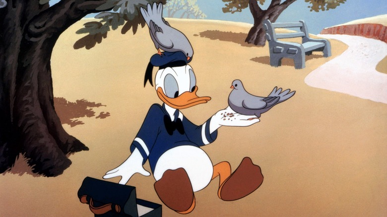Donald Duck feeding birds