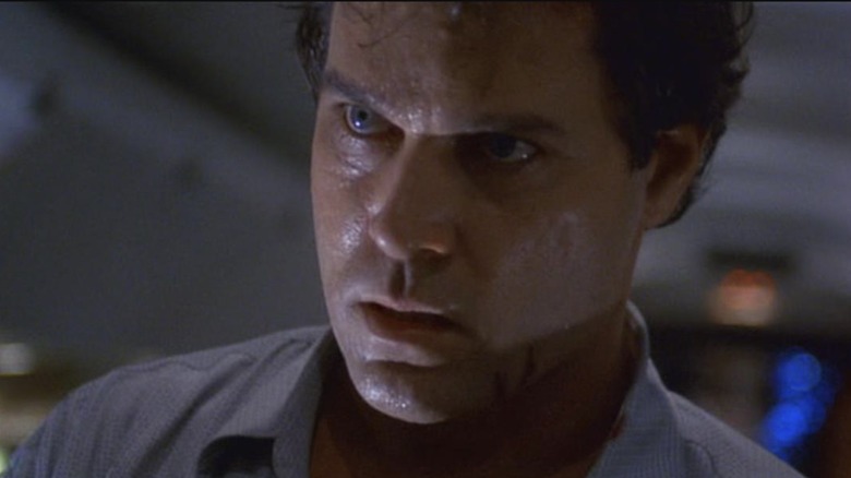 Ray Liotta in Turbulence