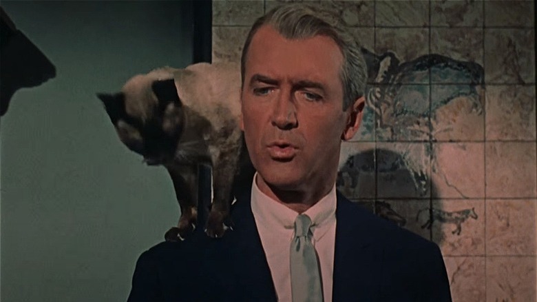 Shep Henderson with cat on shoulder