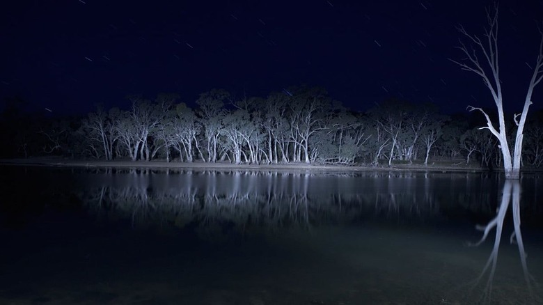 Lake in Lake Mungo