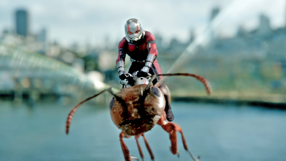 Scott Lang riding a flying ant