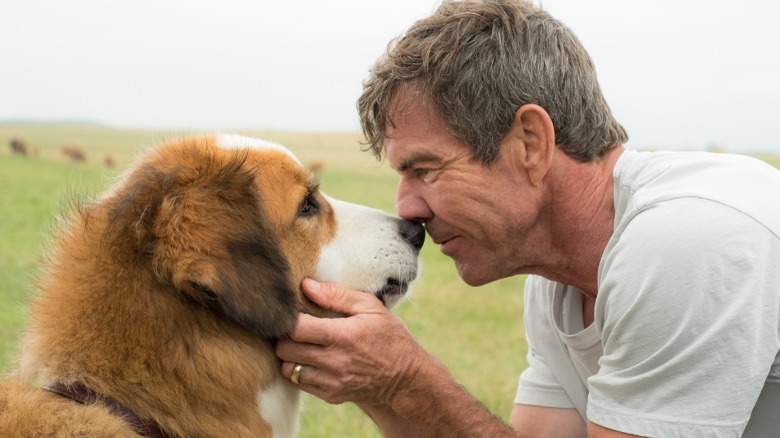 Dennis Quaid presses nose to dog