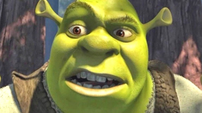 Shrek looking confused in his swamp