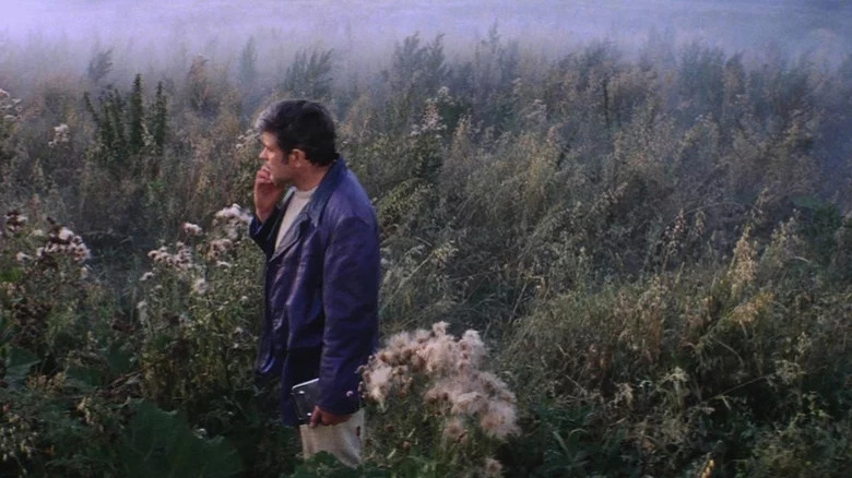 Man in field in Solaris