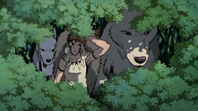 San and the forest wolves