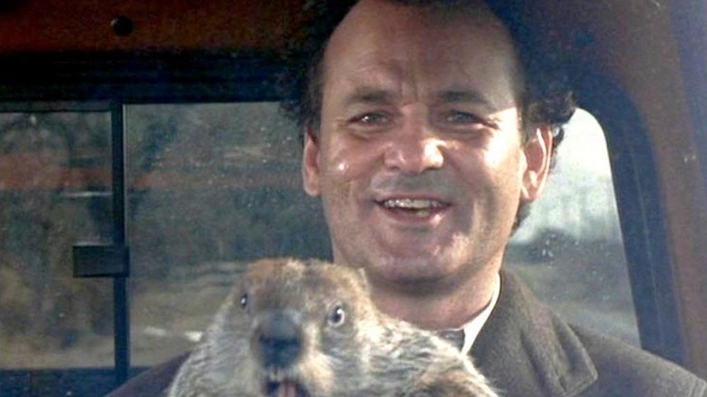 Phil Connors and groundhog