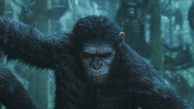 Caesar readies his tribe for a hunt in the opening shot of Dawn of the Planet of the Apes