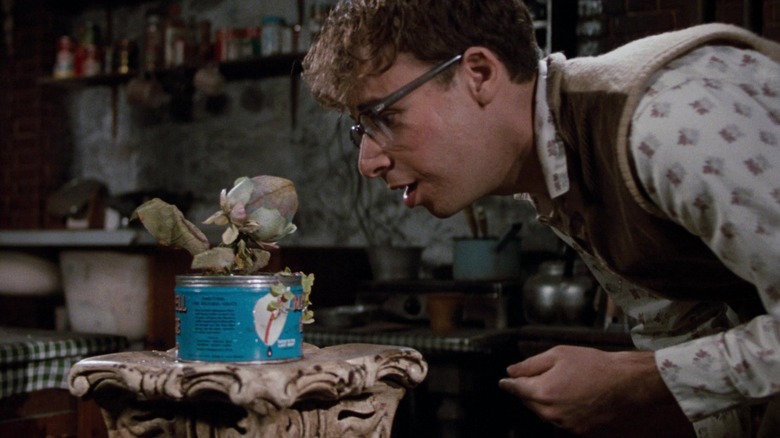 A young Audrey II and Seymour in Little Shop of Horrors