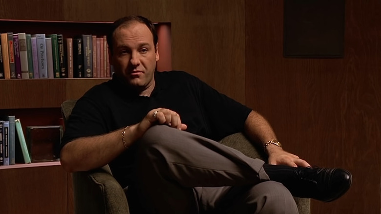 Tony Soprano in therapy