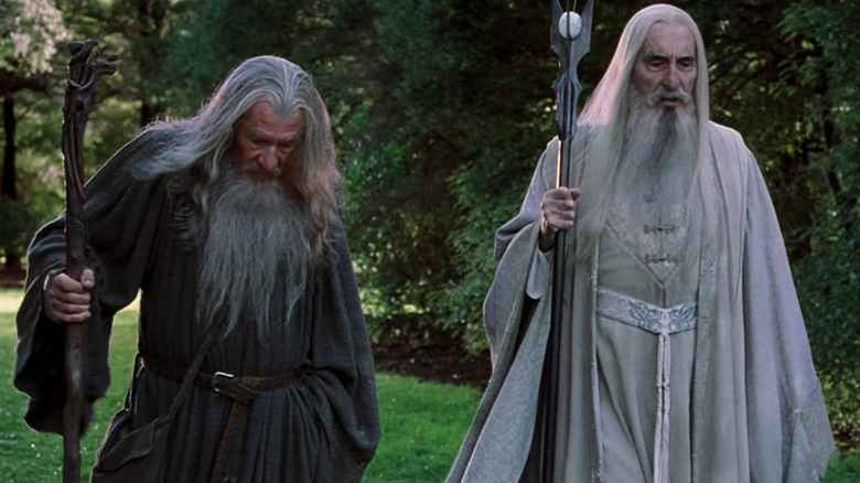 Gandalf and Saruman walk