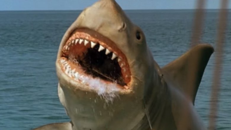 Jaws 4 shark