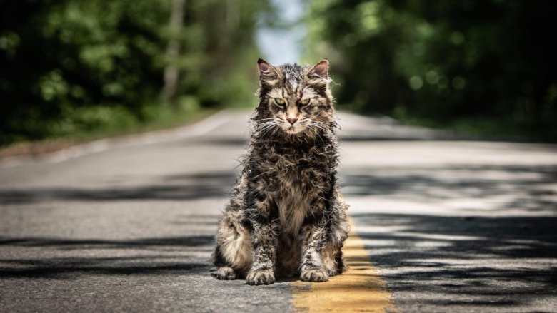 Leo the cat as Church in Pet Sematary (2019)