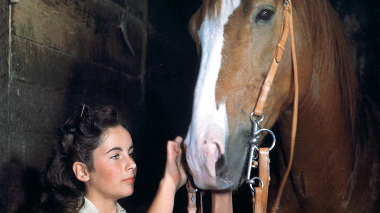 https://www.looper.com/img/gallery/actors-who-adopted-animals-from-the-set/elizabeth-taylor-keeps-the-king-1635764046.jpg