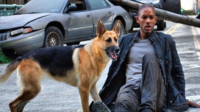 https://www.looper.com/img/gallery/actors-who-adopted-animals-from-the-set/honorable-mention-will-smith-was-denied-a-legend-1635764733.jpg