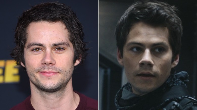 Dylan O'Brien / Thomas