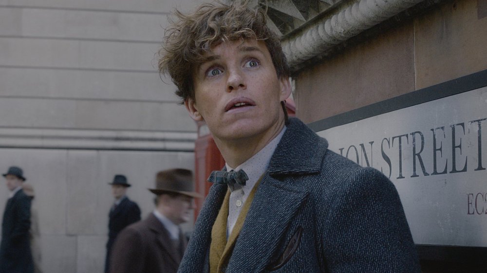 Eddie Redmayne as Newt Scamander in Fantastic Beasts and Where to Find Them