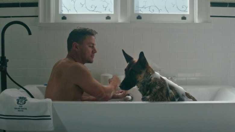 Channing Tatum sitting with dog