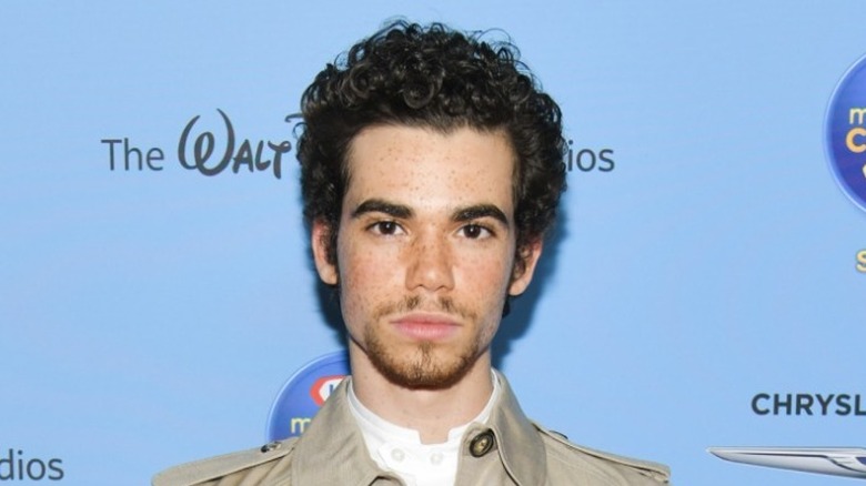 Cameron Boyce on red carpet