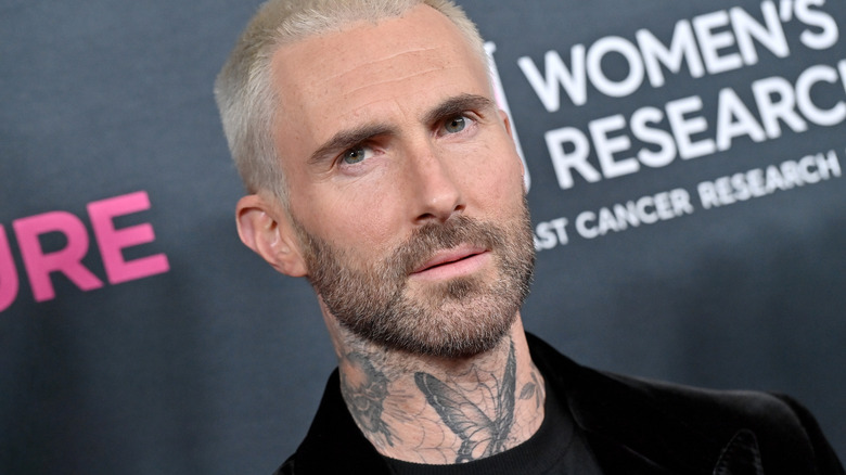 Adam Levine at charitable research event