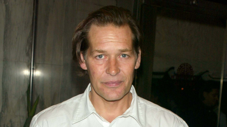 James Remar at the New York premiere of "Duplex" (2003)