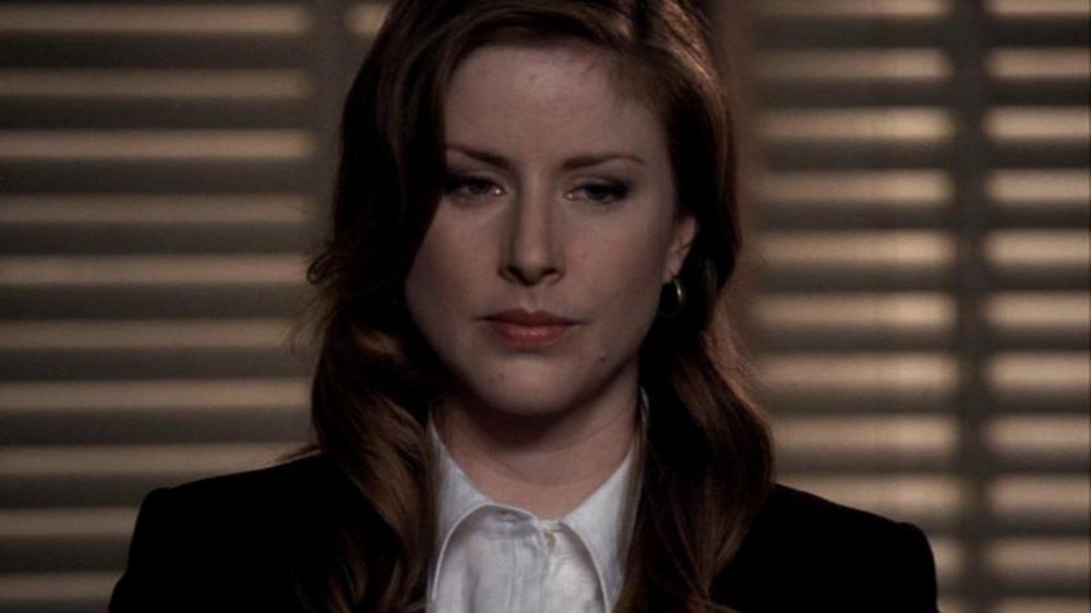 Diane Neal, Law & Order: Special Victims Unit