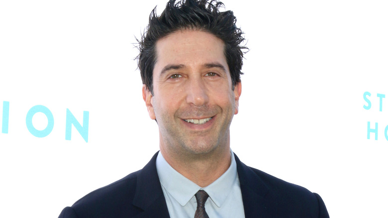 David Schwimmer looks happy