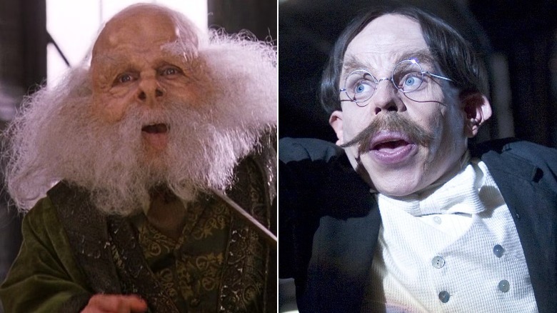 Different looks of Professor Flitwick