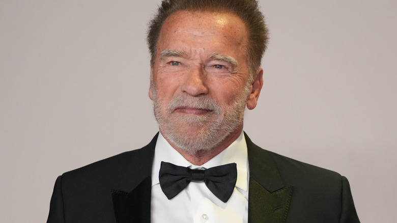 Arnold Schwarzenegger smiling