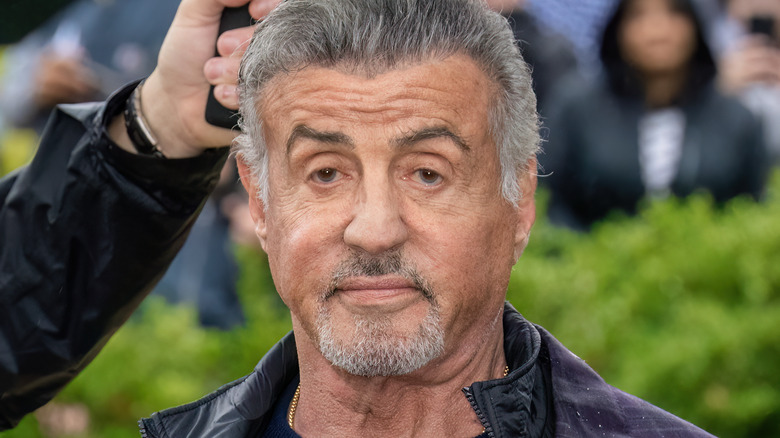 Stallone unamused