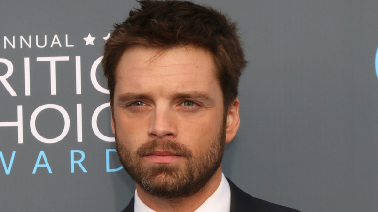 Sebastian Stan on red carpet