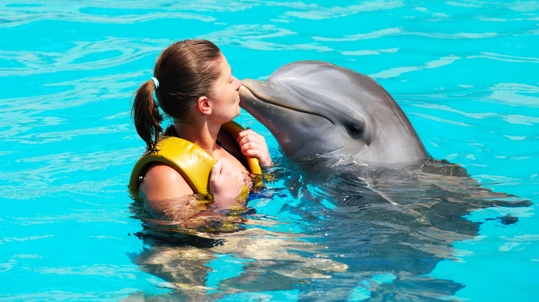 A woman kisses a dolphin in the ocean