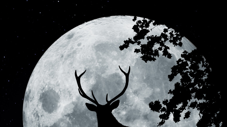 Deer antlers in front of big moon