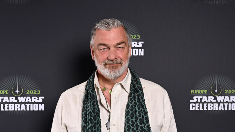 Ray Stevenson grey beard