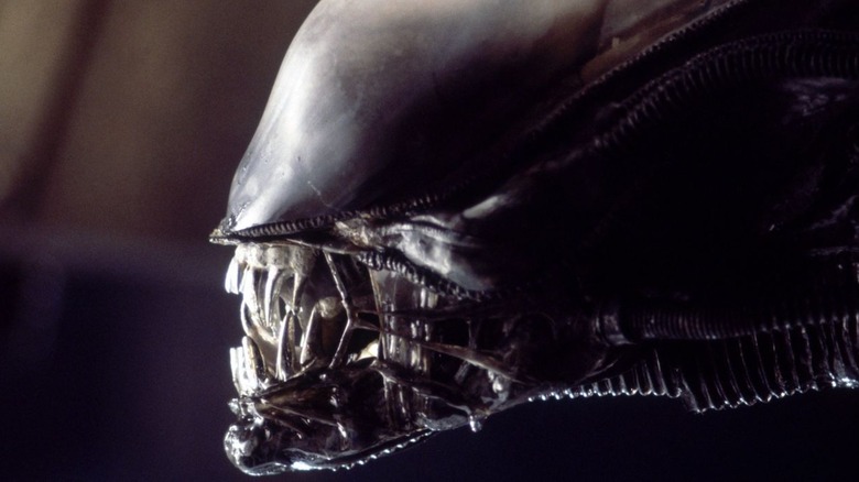 A closeup shot of a Xenomorph alien from the side in 1979's Alien