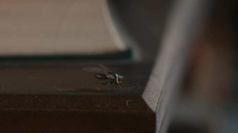 A housefly on Good Omens 2