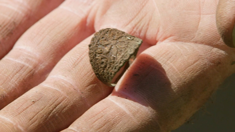 Hand displays a metal ring