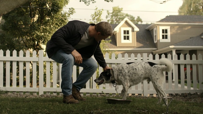 Jack Reacher reaches to pet dog without water