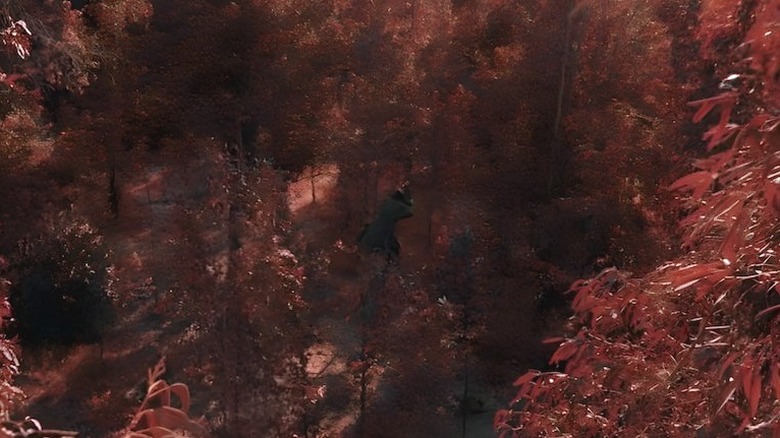 Wei-Chen running on treetops