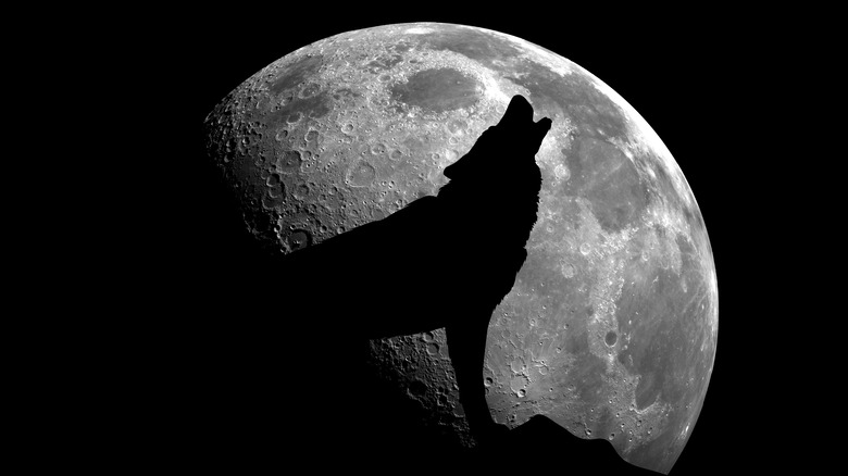 The silhouette of a wolf howling at the full moon