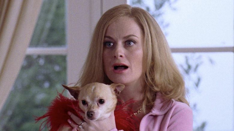 Amy Poehler shocked holds dog