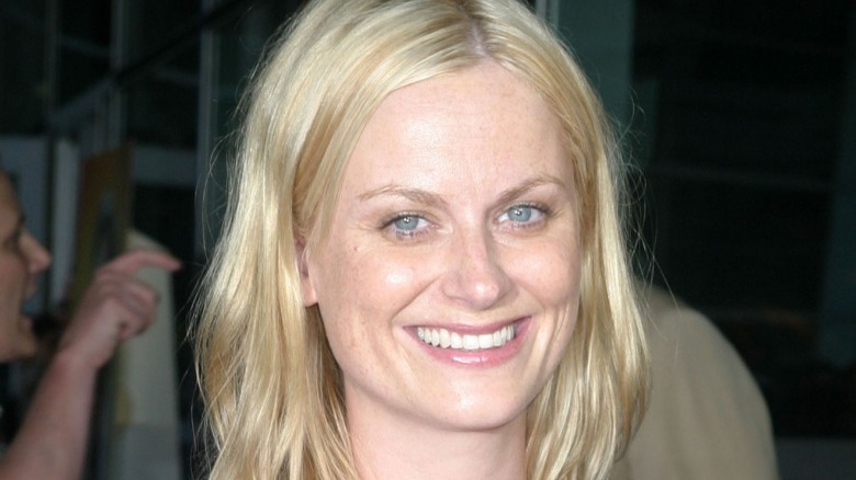 Amy Poehler smiles