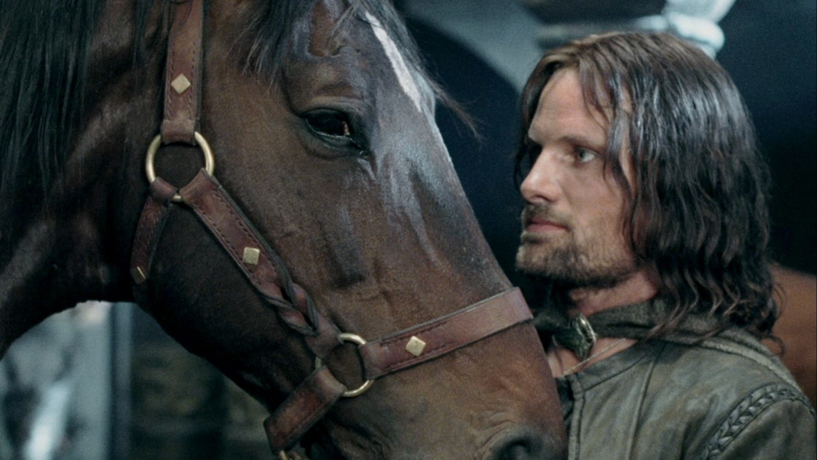 An Arwen Stunt Double Was Gifted An Actual Horse From LOTR's Viggo ...