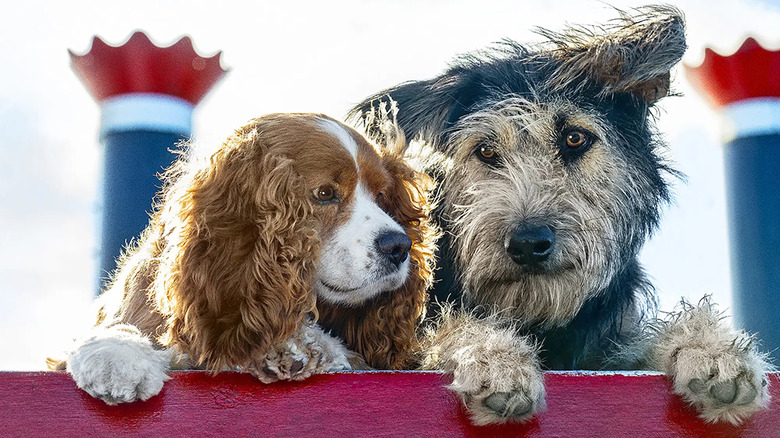 Lady and Tramp