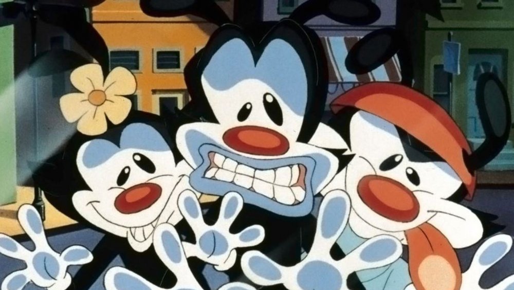 shot from the original Animaniacs cartoon