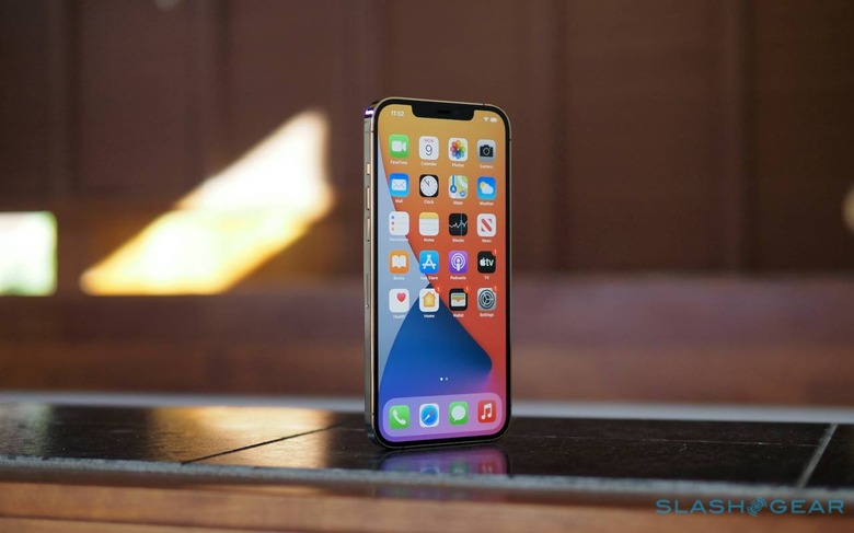 Review: The iPhone 12 Pro Max is worth its handling fee