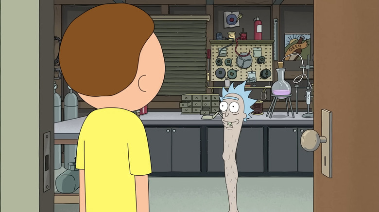 Morty looks at Rick