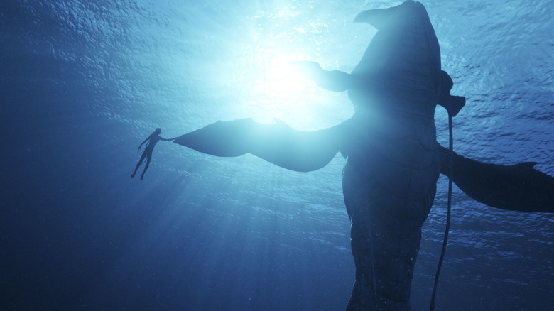 Silhouette of Lo'ak and Payakan swimming