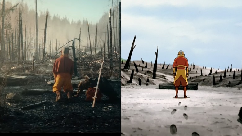 Aang explores a burned forest