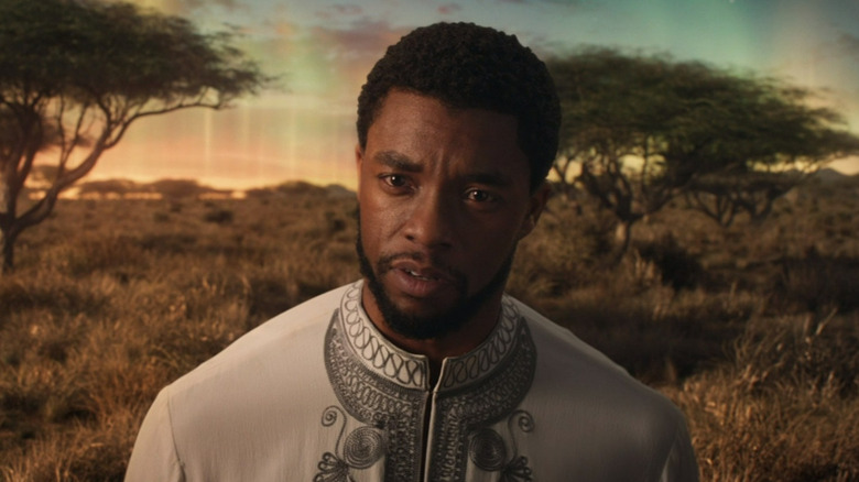 T'Challa in the Ancestral Plane