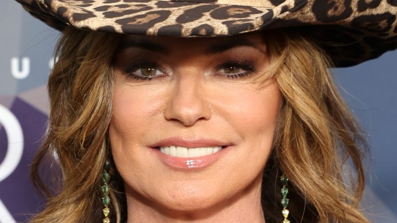 Shania Twain on the red carpet